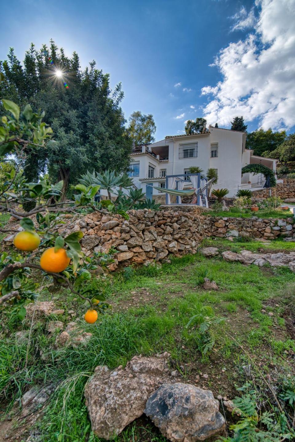 Villa Morera Bed & Breakfast Frigiliana Eksteriør billede